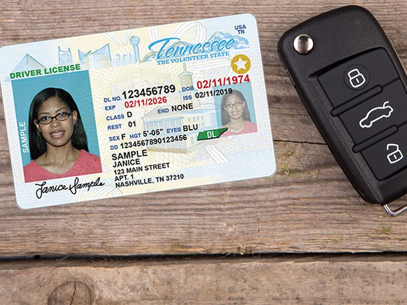 fake driver license