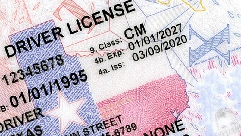 Buy Fake Driver's License online