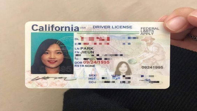 Buy a fake ID online