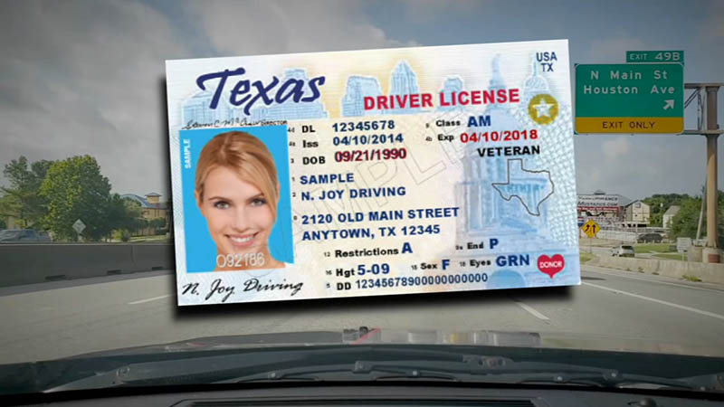 Buy a fake driver's license