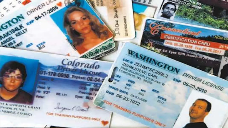 Fake driver's license for sale