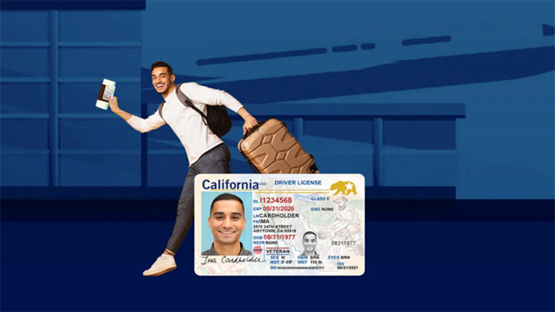 How to get Fake Driver's License